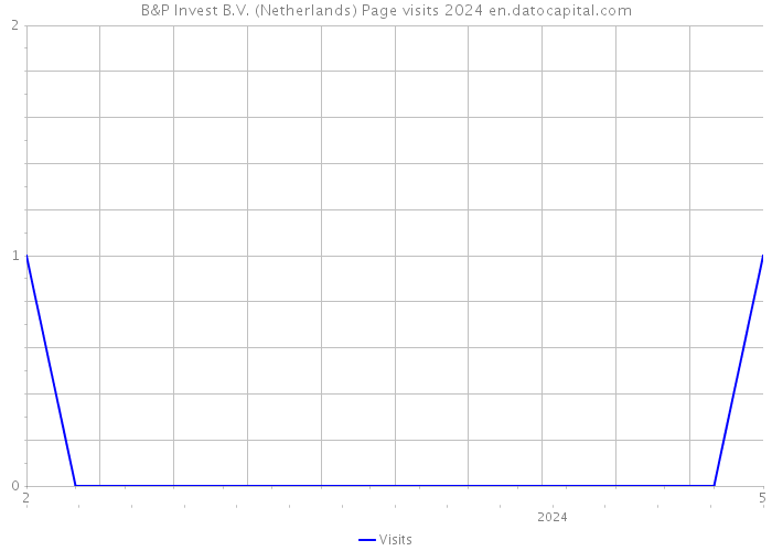 B&P Invest B.V. (Netherlands) Page visits 2024 