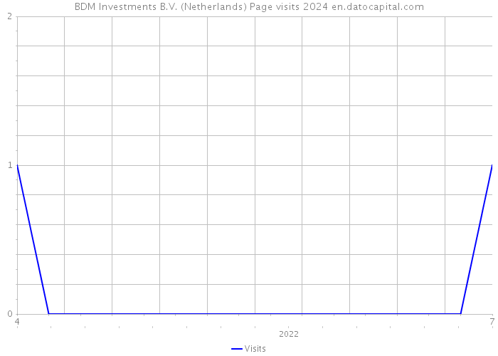 BDM Investments B.V. (Netherlands) Page visits 2024 
