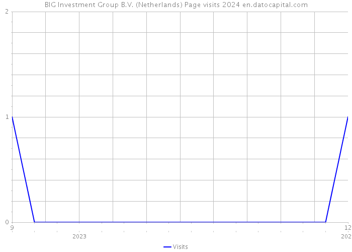 BIG Investment Group B.V. (Netherlands) Page visits 2024 