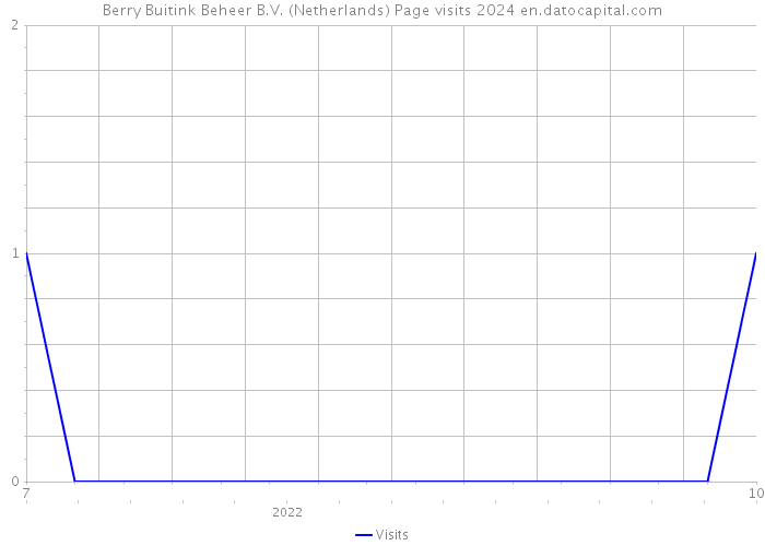 Berry Buitink Beheer B.V. (Netherlands) Page visits 2024 