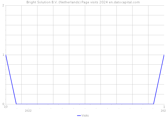Bright Solution B.V. (Netherlands) Page visits 2024 