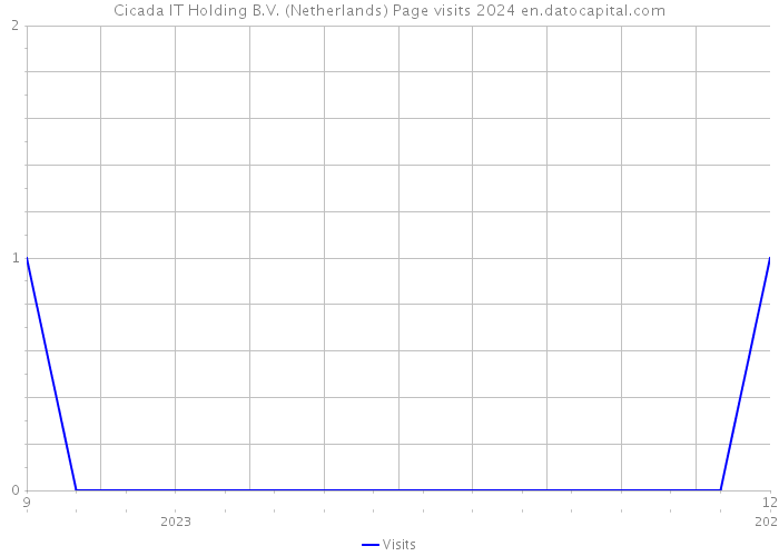 Cicada IT Holding B.V. (Netherlands) Page visits 2024 