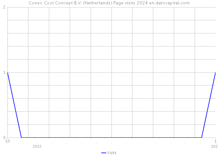 Conex Cool Concept B.V. (Netherlands) Page visits 2024 