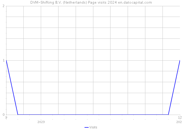 DVM-Shifting B.V. (Netherlands) Page visits 2024 