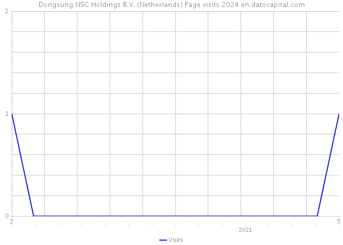 Dongsung NSC Holdings B.V. (Netherlands) Page visits 2024 