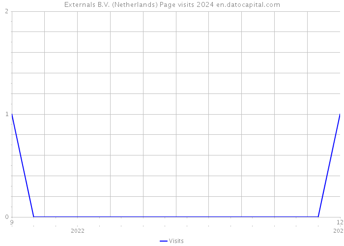 Externals B.V. (Netherlands) Page visits 2024 