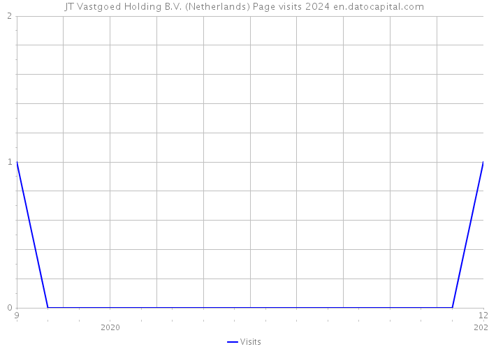 JT Vastgoed Holding B.V. (Netherlands) Page visits 2024 