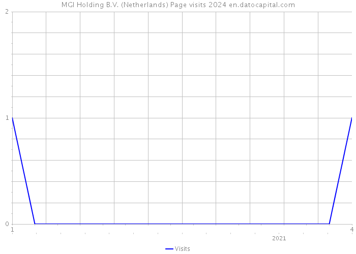 MGI Holding B.V. (Netherlands) Page visits 2024 