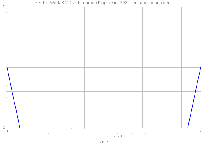 Mind at Work B.V. (Netherlands) Page visits 2024 
