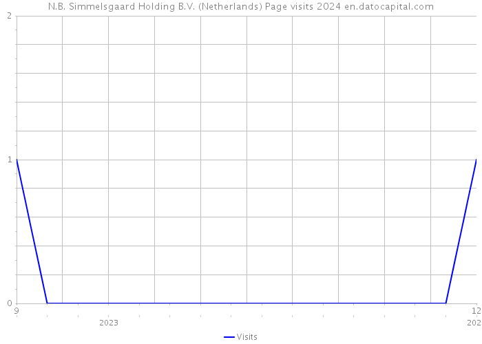 N.B. Simmelsgaard Holding B.V. (Netherlands) Page visits 2024 