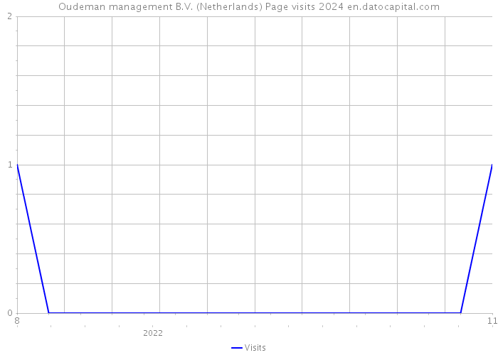 Oudeman management B.V. (Netherlands) Page visits 2024 