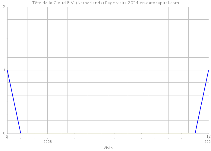 Tête de la Cloud B.V. (Netherlands) Page visits 2024 