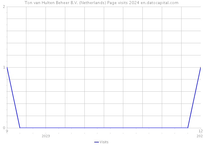 Ton van Hulten Beheer B.V. (Netherlands) Page visits 2024 
