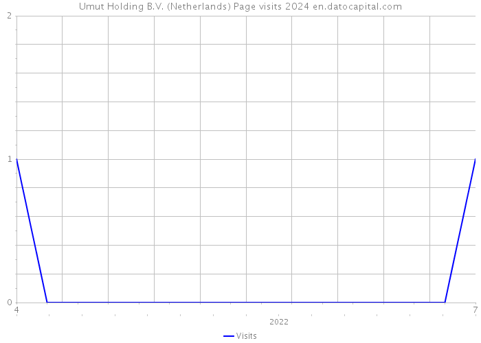 Umut Holding B.V. (Netherlands) Page visits 2024 