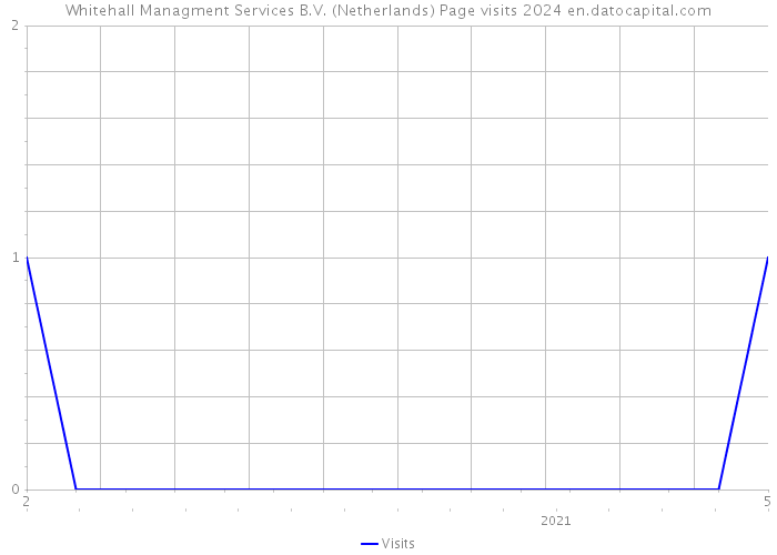 Whitehall Managment Services B.V. (Netherlands) Page visits 2024 