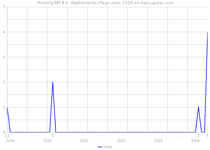 Holding BM B.V. (Netherlands) Page visits 2024 
