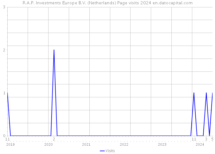 R.A.P. Investments Europe B.V. (Netherlands) Page visits 2024 