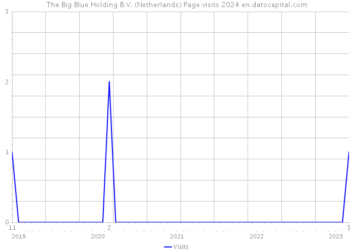 The Big Blue Holding B.V. (Netherlands) Page visits 2024 