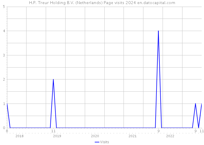 H.P. Treur Holding B.V. (Netherlands) Page visits 2024 