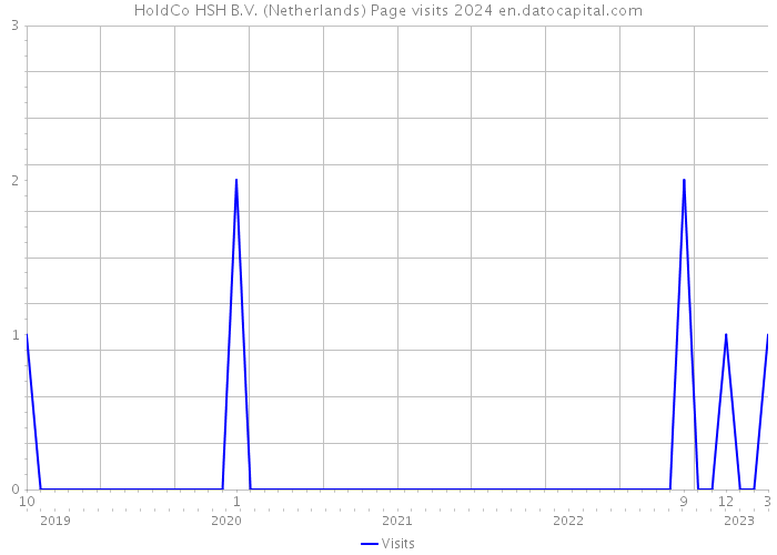 HoldCo HSH B.V. (Netherlands) Page visits 2024 