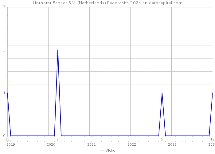 Linthorst Beheer B.V. (Netherlands) Page visits 2024 