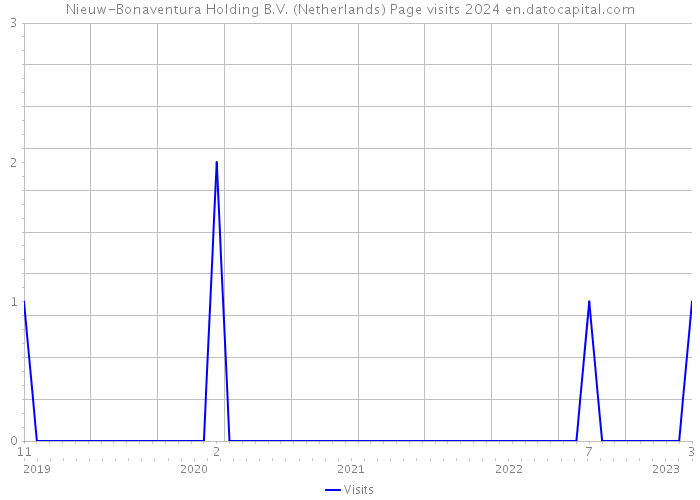 Nieuw-Bonaventura Holding B.V. (Netherlands) Page visits 2024 