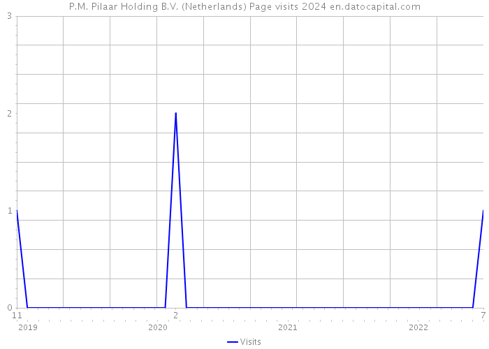P.M. Pilaar Holding B.V. (Netherlands) Page visits 2024 
