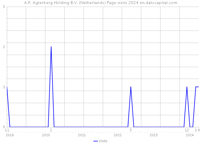 A.P. Agterberg Holding B.V. (Netherlands) Page visits 2024 