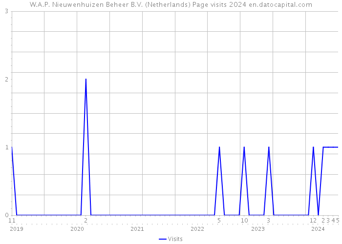 W.A.P. Nieuwenhuizen Beheer B.V. (Netherlands) Page visits 2024 
