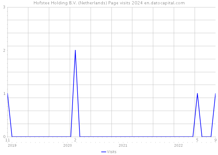 Hofstee Holding B.V. (Netherlands) Page visits 2024 