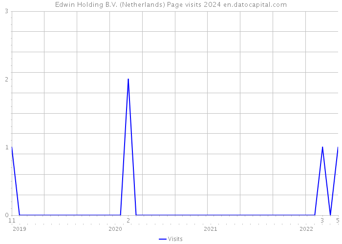Edwin Holding B.V. (Netherlands) Page visits 2024 