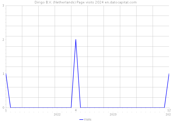 Dirigo B.V. (Netherlands) Page visits 2024 