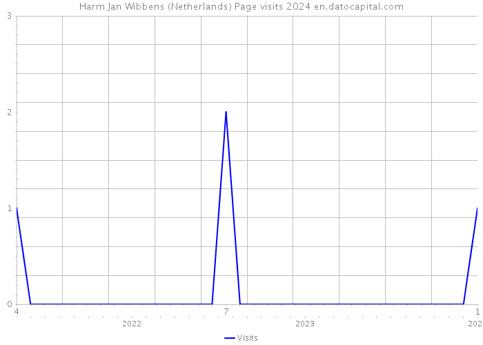 Harm Jan Wibbens (Netherlands) Page visits 2024 
