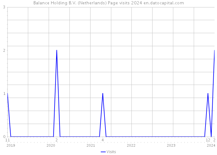 Balance Holding B.V. (Netherlands) Page visits 2024 
