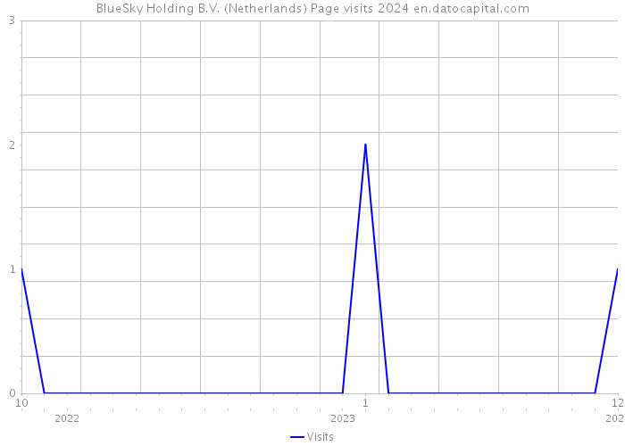 BlueSky Holding B.V. (Netherlands) Page visits 2024 