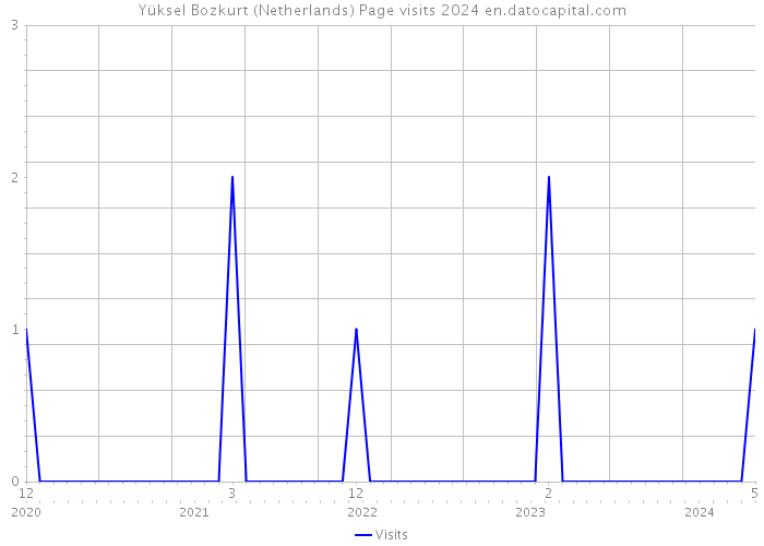 Yüksel Bozkurt (Netherlands) Page visits 2024 