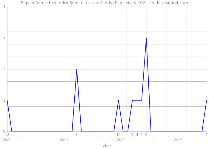 Rajesh Rameshchandra Somani (Netherlands) Page visits 2024 