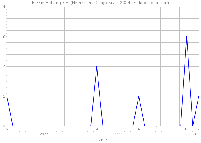 Bossie Holding B.V. (Netherlands) Page visits 2024 
