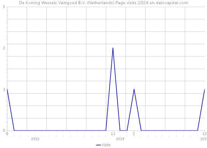 De Koning Wessels Vastgoed B.V. (Netherlands) Page visits 2024 