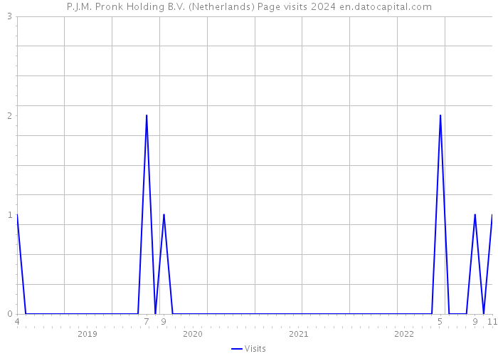 P.J.M. Pronk Holding B.V. (Netherlands) Page visits 2024 