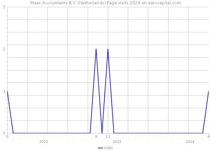 Maas Accountants B.V. (Netherlands) Page visits 2024 