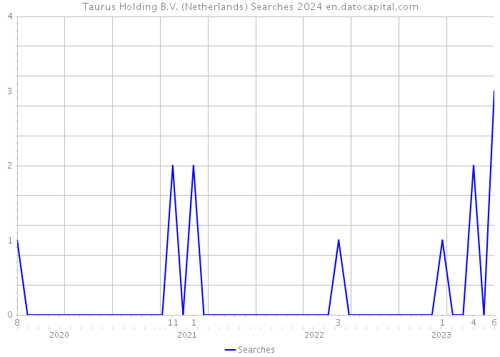 Taurus Holding B.V. (Netherlands) Searches 2024 