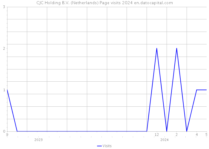 CJC Holding B.V. (Netherlands) Page visits 2024 