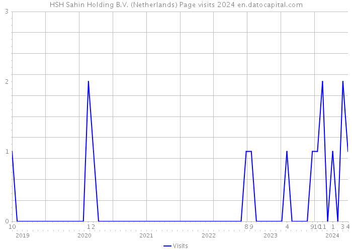 HSH Sahin Holding B.V. (Netherlands) Page visits 2024 