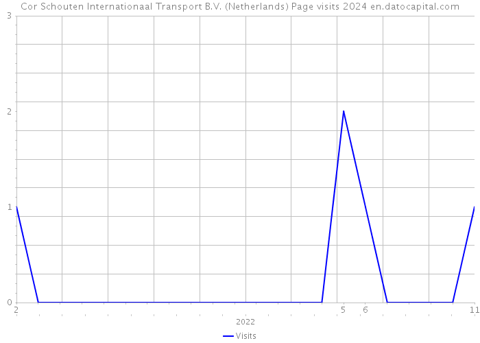 Cor Schouten Internationaal Transport B.V. (Netherlands) Page visits 2024 