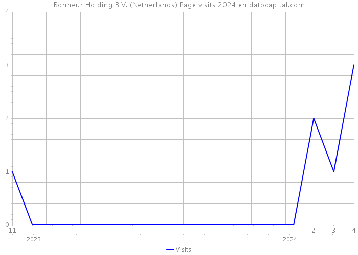 Bonheur Holding B.V. (Netherlands) Page visits 2024 