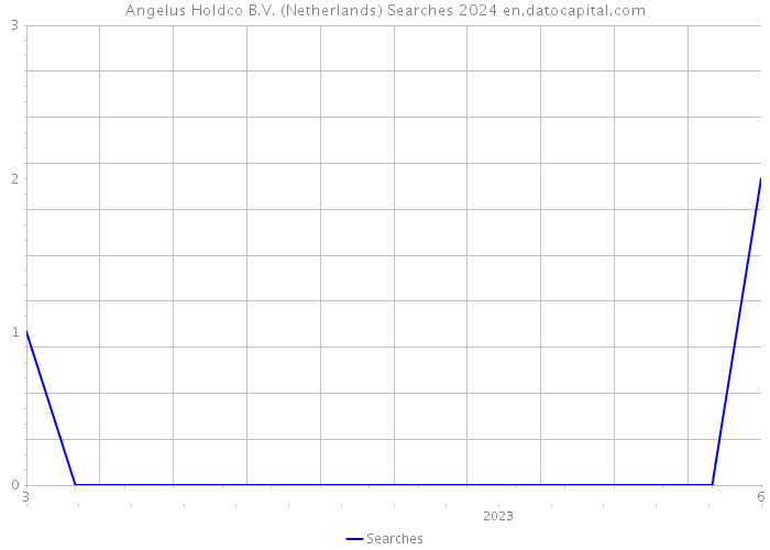 Angelus Holdco B.V. (Netherlands) Searches 2024 
