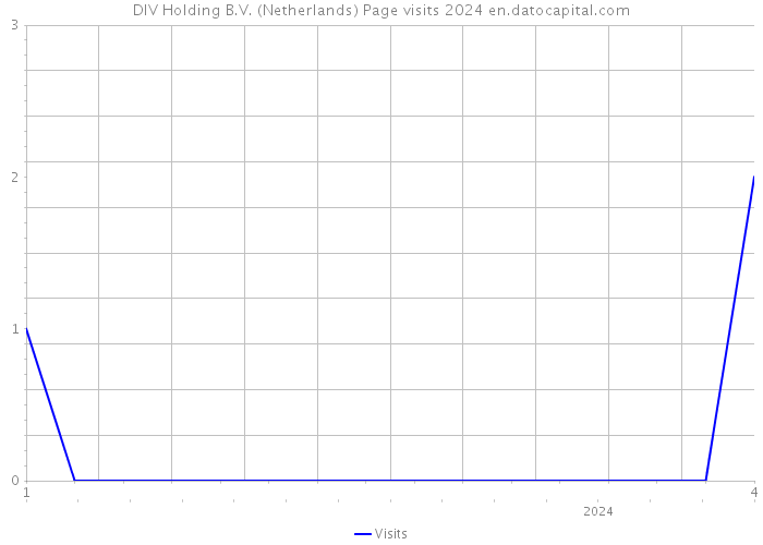 DIV Holding B.V. (Netherlands) Page visits 2024 