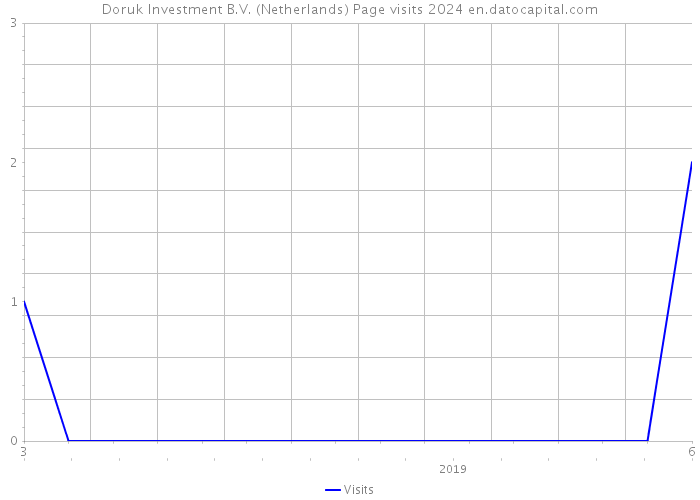 Doruk Investment B.V. (Netherlands) Page visits 2024 