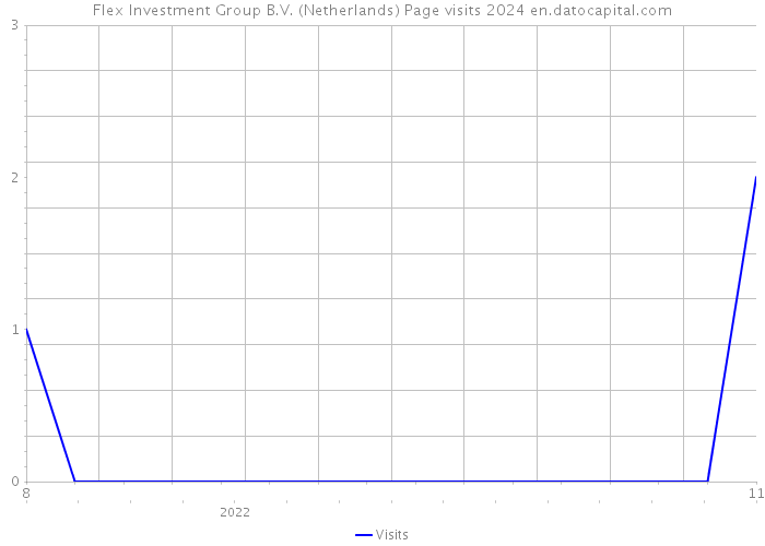 Flex Investment Group B.V. (Netherlands) Page visits 2024 